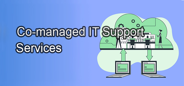 Managed IT Service Plans in Chula Vista CA, 91911