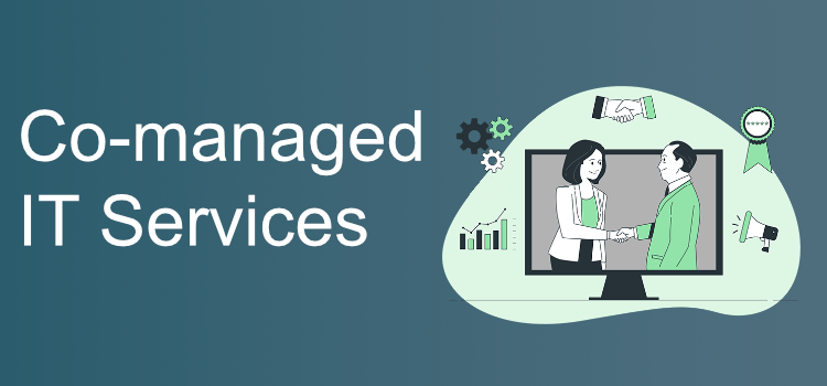 Co-Managed IT Support Services in Santee CA, 92071