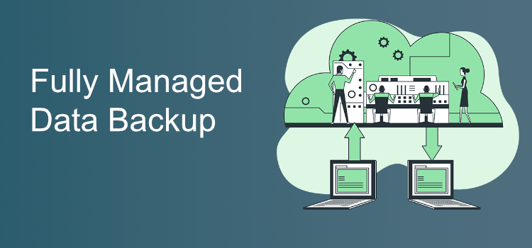 Managed Data Backup Services in Encinitas CA, 92024