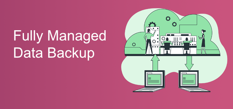 Managed IT Services in Princeton Junction NJ, 08550