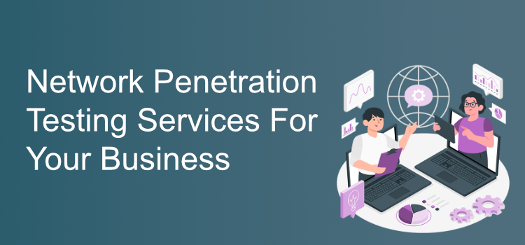 Network Penetration Testing Services